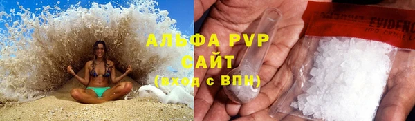 стаф Баксан