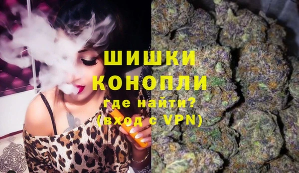 эйфоретик Белокуриха