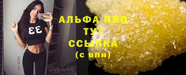 эйфоретик Белокуриха